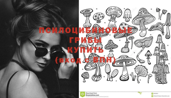 MDMA Богородицк