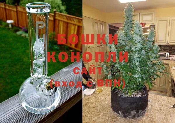 тгк Богданович