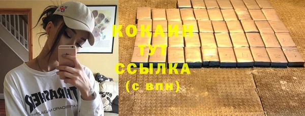 тгк Богданович