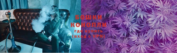 тгк Богданович