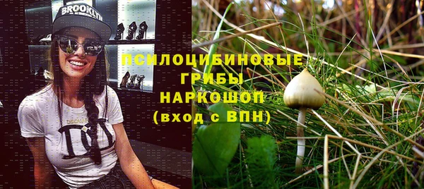 тгк Богданович